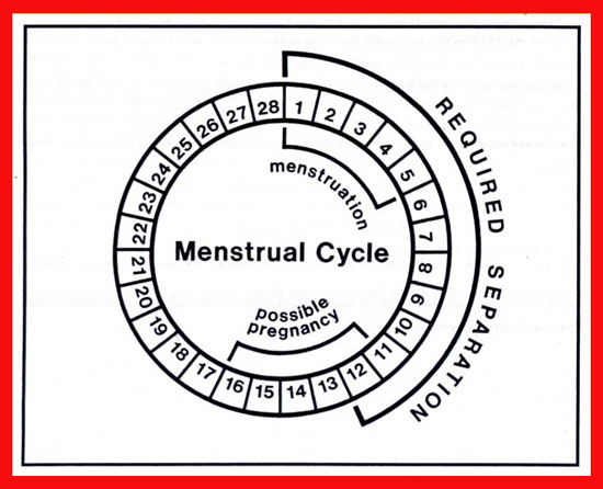 day by day menstrual cycle moods